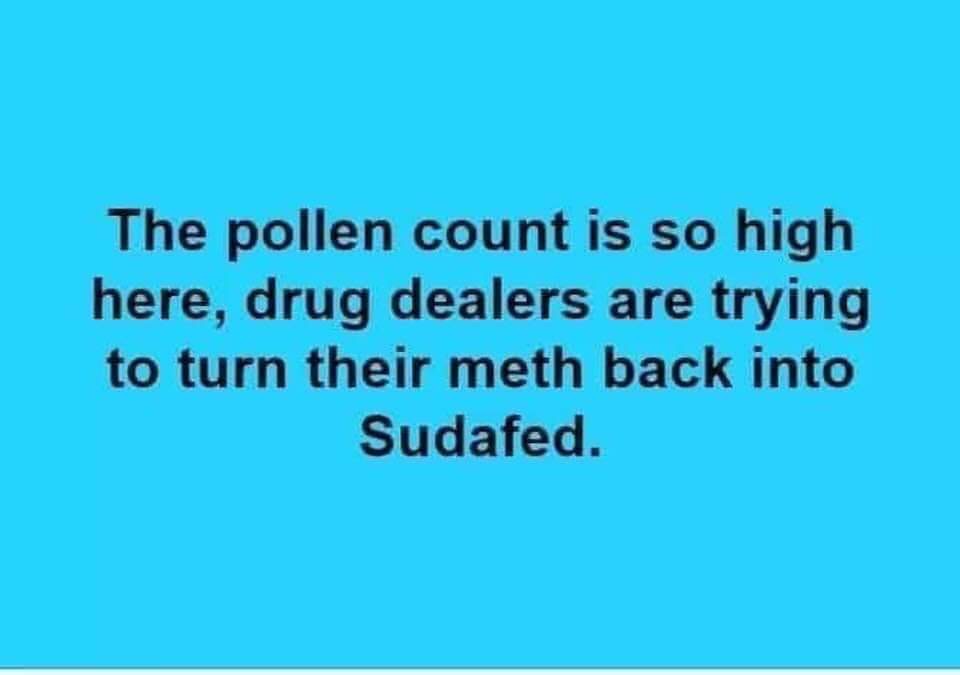 sky - The pollen count is so high here, drug dealers are trying to turn their meth back into Sudafed.
