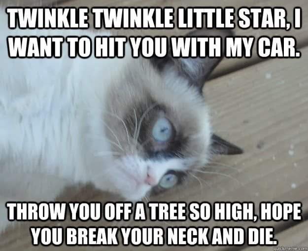 twinkle twinkle little star i will hit you with my car - Twinkle Twinkle Little Star, I Want To Hit You With My Car. Throw You Off A Tree So High, Hope You Break Your Neck And Die. cucumerre con