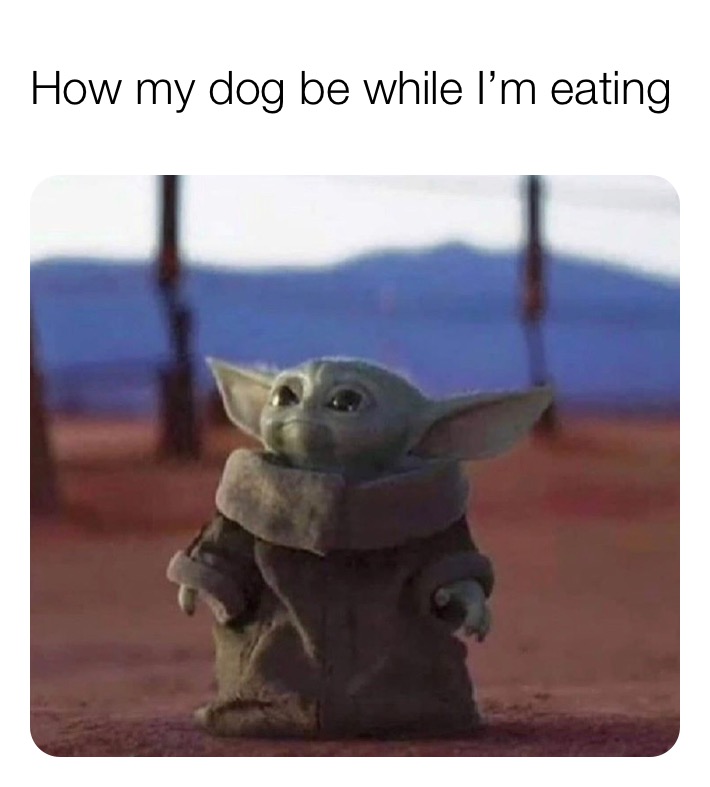 baby yoda meme - How my dog be while I'm eating