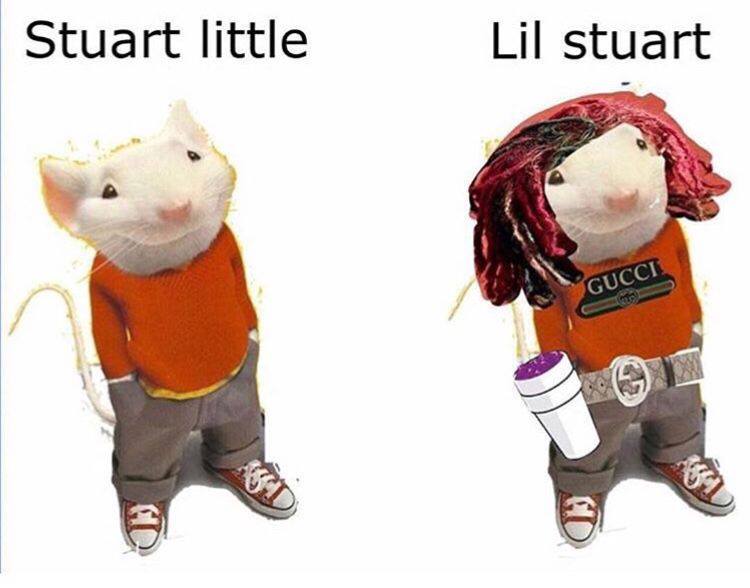 lil stuart - Stuart little Lil stuart Gucci