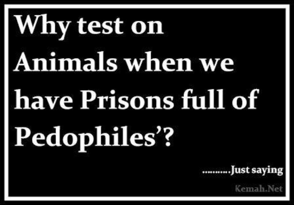 animal test on pedophiles - Why test on Animals when we have Prisons full of Pedophiles'? Be .......Just saying Kemah.Net