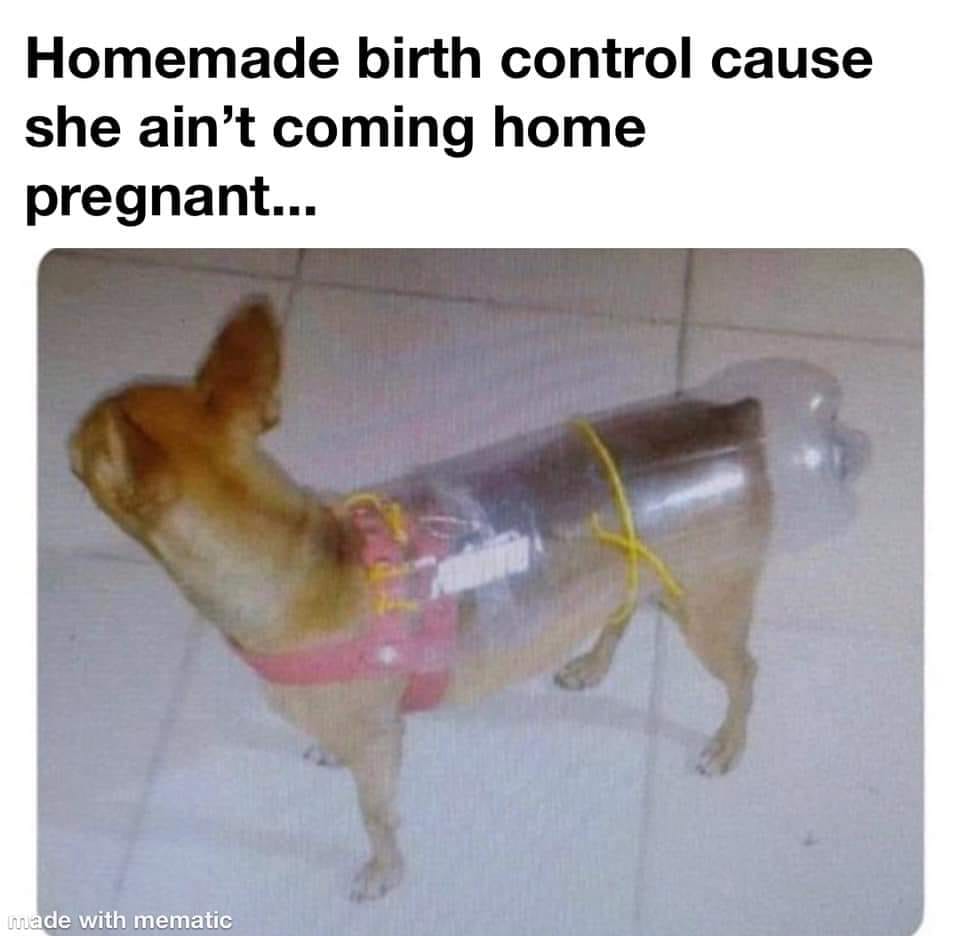 Internet meme - Homemade birth control cause she ain't coming home pregnant... made with mematic