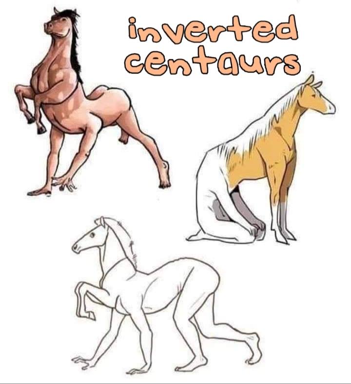 centaurs meme - inverted centours