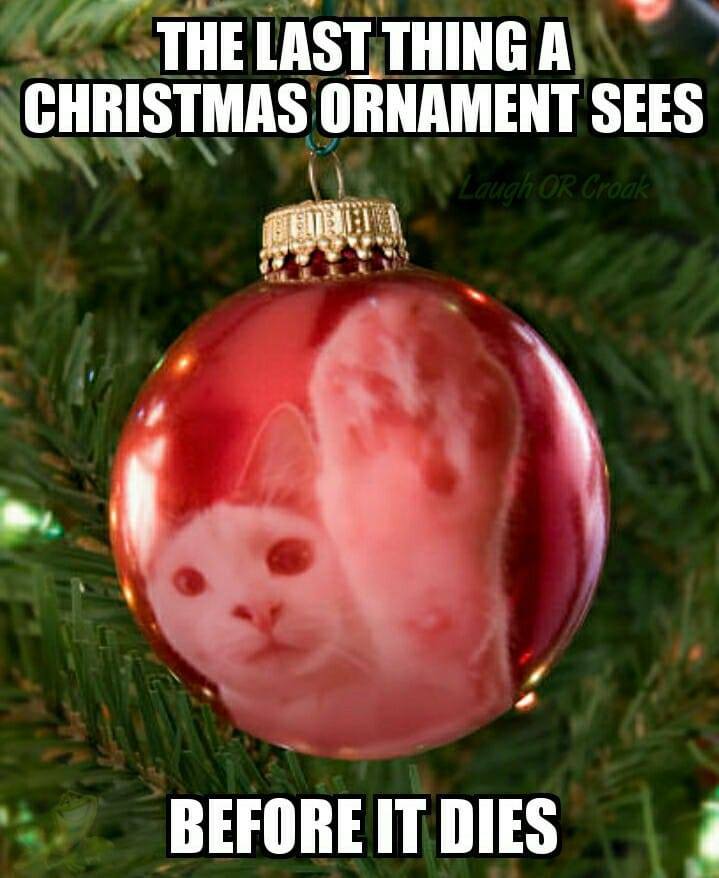 last thing a christmas ornament sees - The Last Thing A Christmas Ornament Sees Laugh Or Croak Before It Dies