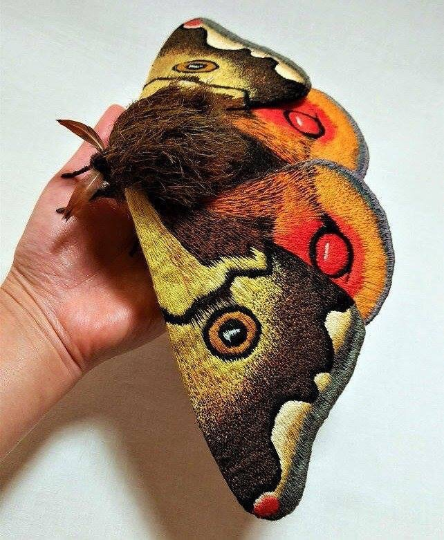 japanese giant emperor moth
