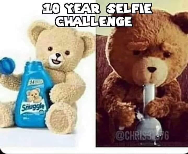 snuggle bear and ted meme - 20 Year Selfie Challenge Snuggle
