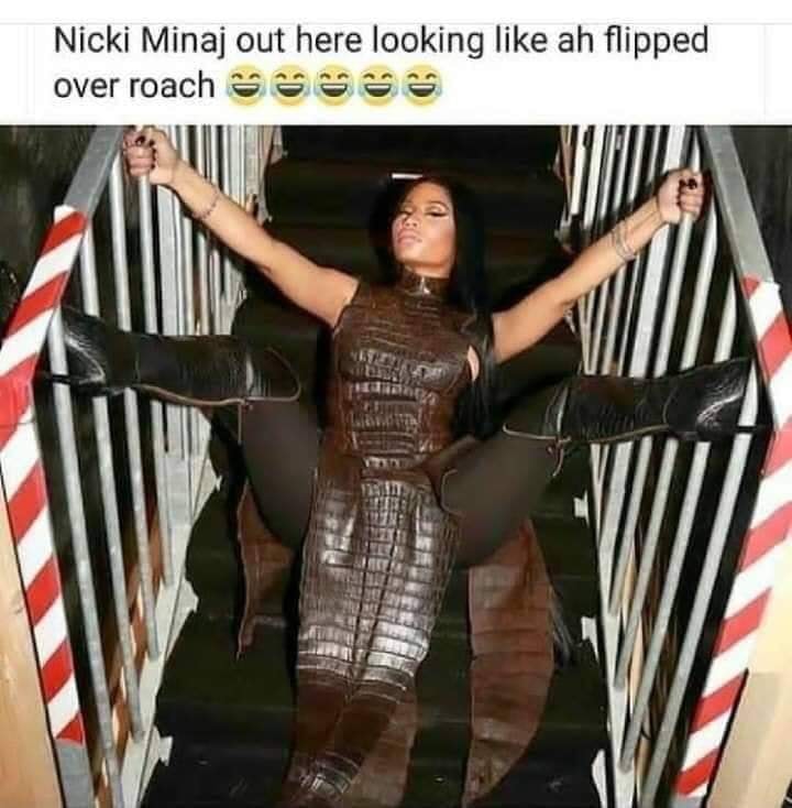 nicki minaj roach meme - Nicki Minaj out here looking ah flipped over roach Oooo