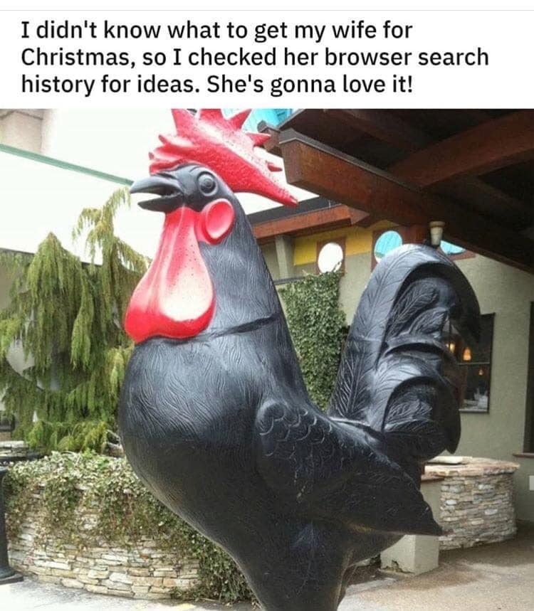 rooster - I didn't know what to get my wife for Christmas, so I checked her browser search history for ideas. She's gonna love it!