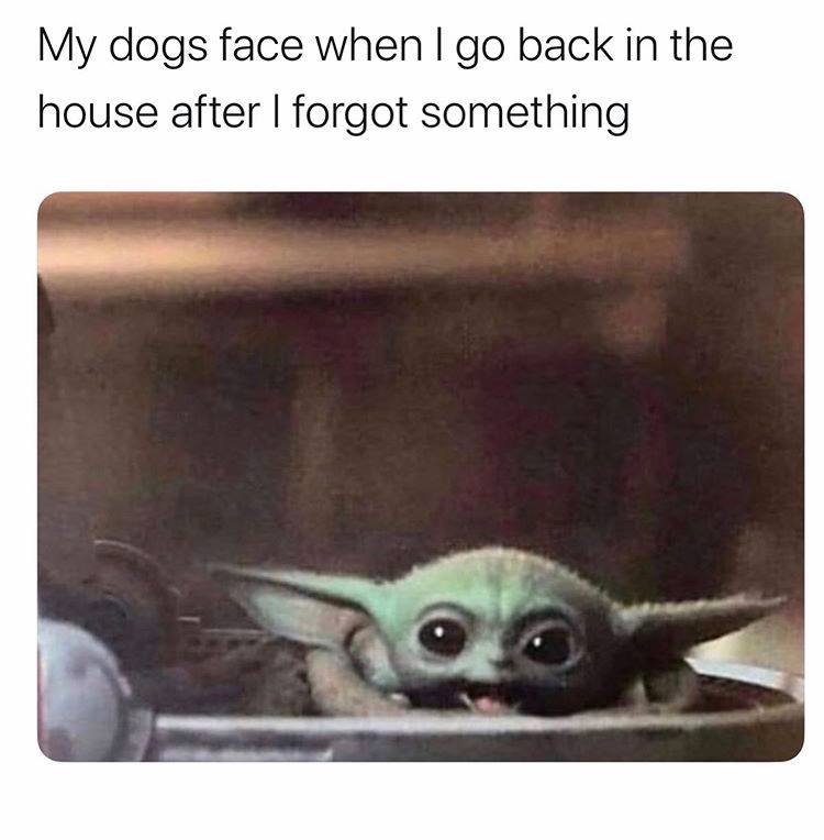 baby yoda meme heart - My dogs face when I go back in the house after I forgot something