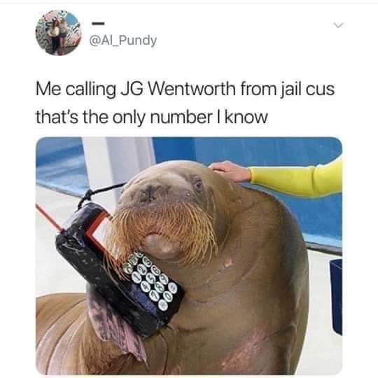 bukkit walrus - Me calling Jg Wentworth from jail cus that's the only number I know ooooo Oooor