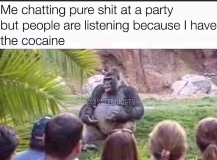 philosophy gorilla - Me chatting pure shit at a party but people are listening because I have the cocaine Asseenomigtv
