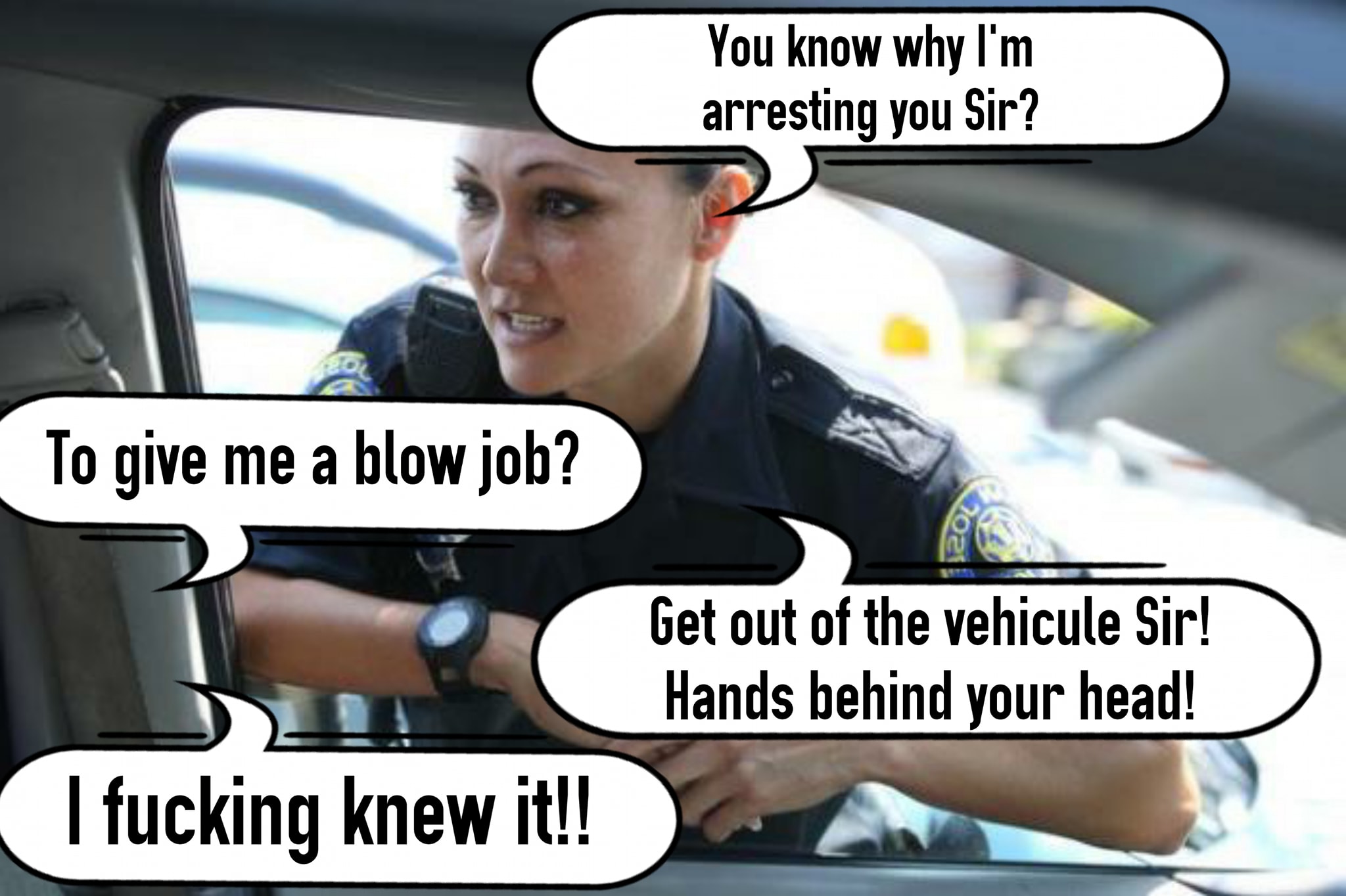 schild - You know why I'm arresting you Sir? To give me a blow job? Get out of the vehicule Sir! Hands behind your head! I fucking knew it!!