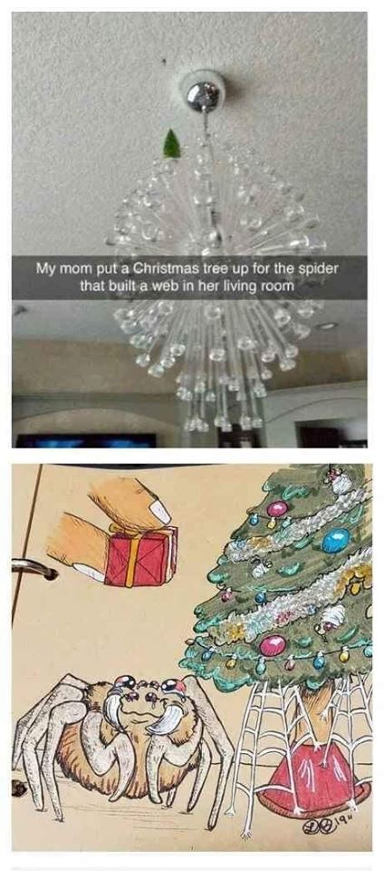 jewellery - My mom put a Christmas tree up for the spider that built a web in her living room 019