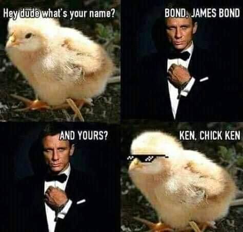 ken chick ken - Hey dude what's your name? Bond. James Bond And Yours? Ken. Chick Ken
