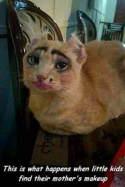 cat makeup funny - This is what happens when little kids find their mother's makeup