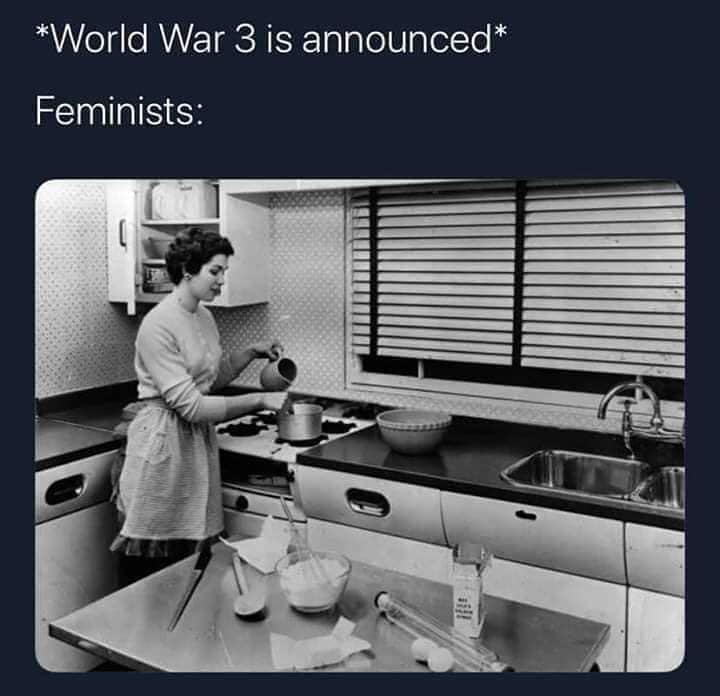 women in the kitchen - World War 3 is announced Feminists