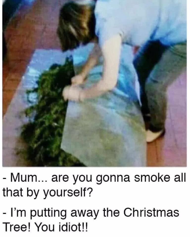 Mum... are you gonna smoke all that by yourself? I'm putting away the Christmas Tree! You idiot!!