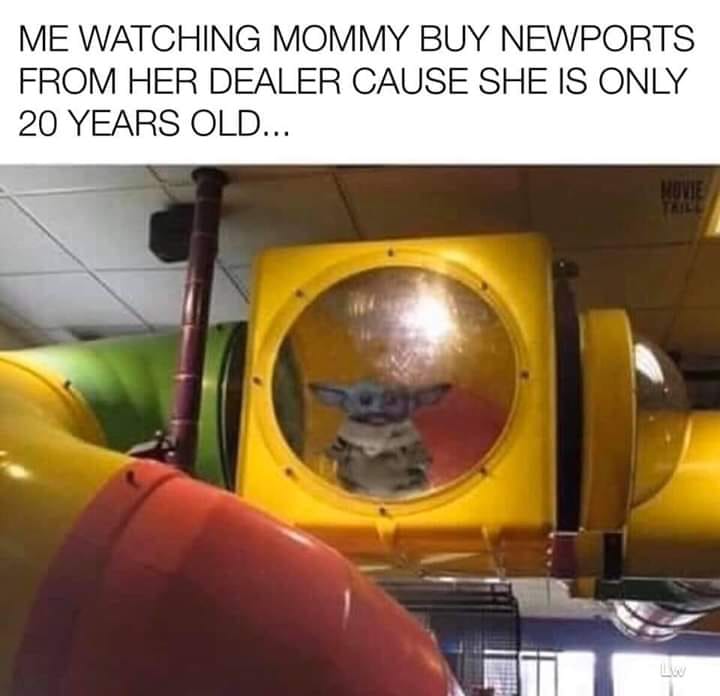 Shitposting - Me Watching Mommy Buy Newports From Her Dealer Cause She Is Only 20 Years Old...