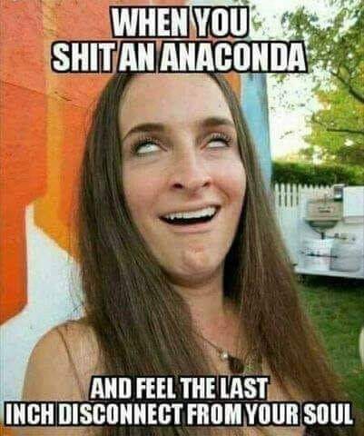 you shit an anaconda - When You Shitan Anaconda And Feel The Last Inch Disconnect From Your Soul