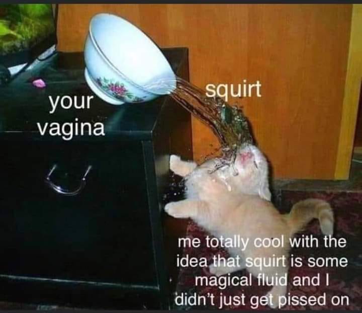 cat meme regrets - Squirt your vagina me totally cool with the idea that squirt is some magical fluid and I didn't just get pissed on