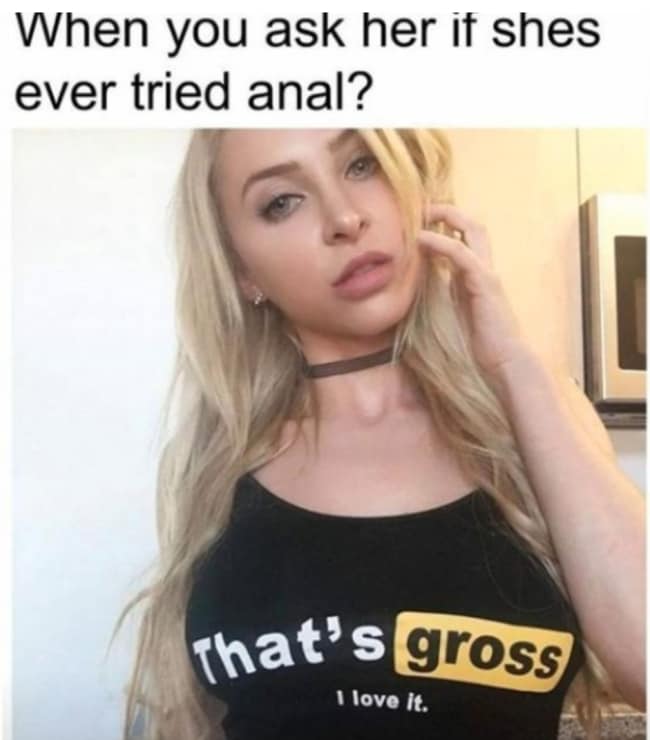 anal funny meme - When you ask her if shes ever tried anal? That's gross I love it.
