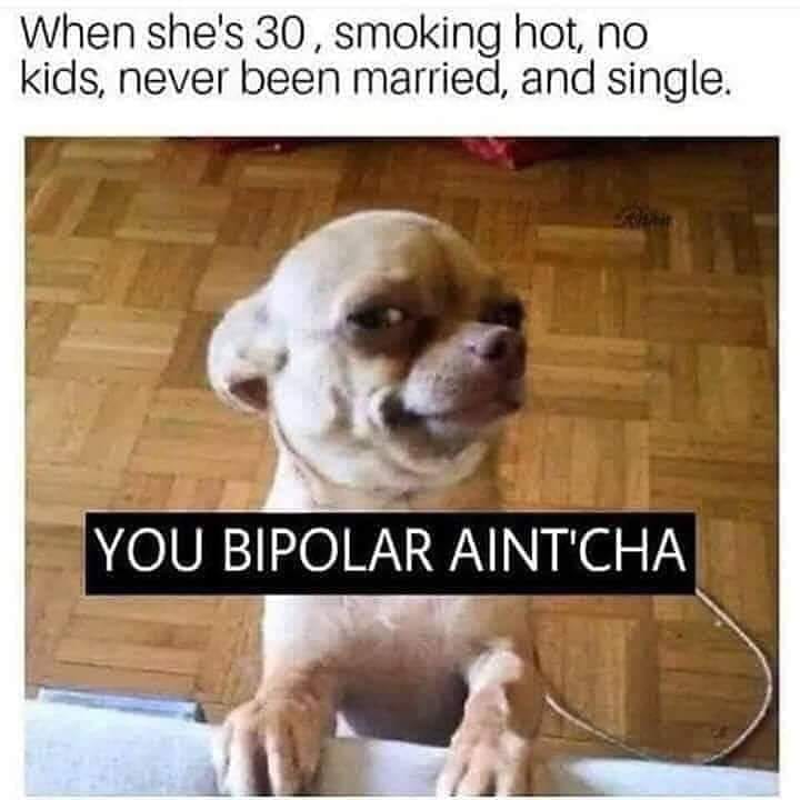 single and no kids meme - When she's 30, smoking hot, no kids, never been married, and single. You Bipolar Aint'Cha
