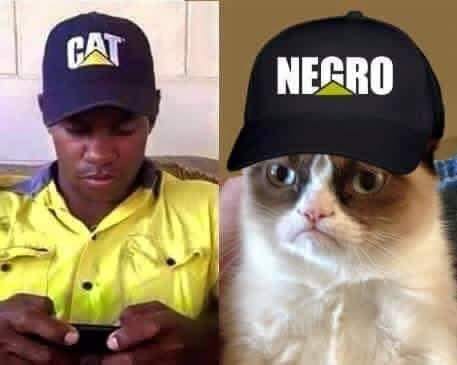 cat negro meme