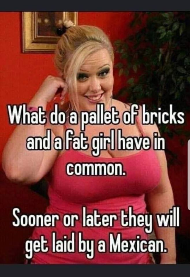 photo caption - What do a pallet of bricks and a fat girl have in common. Sooner or later they will get laid by a Mexican