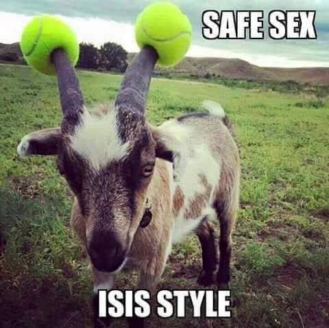 fuck isis memes - Safe Sex Isis Style