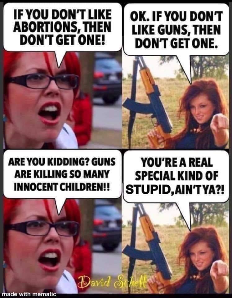 special kind of libtard - If You Don'T Abortions, Then Don'T Get One! Ok. If You Dont Guns, Then Don'T Get One. Are You Kidding? Guns You'Re A Real Are Killing So Many | Special Kind Of Innocent Children!! Stupid. Ain'T Ya?! David Schell made with mematic