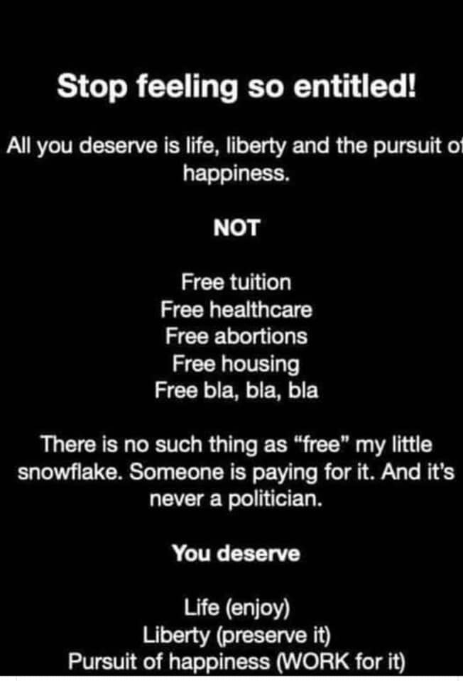 job vacancy poster - Stop feeling so entitled! All you deserve is life, liberty and the pursuit of happiness. Not Free tuition Free healthcare Free abortions Free housing Free bla, bla, bla There is no such thing as "free" my little snowflake. Someone is 