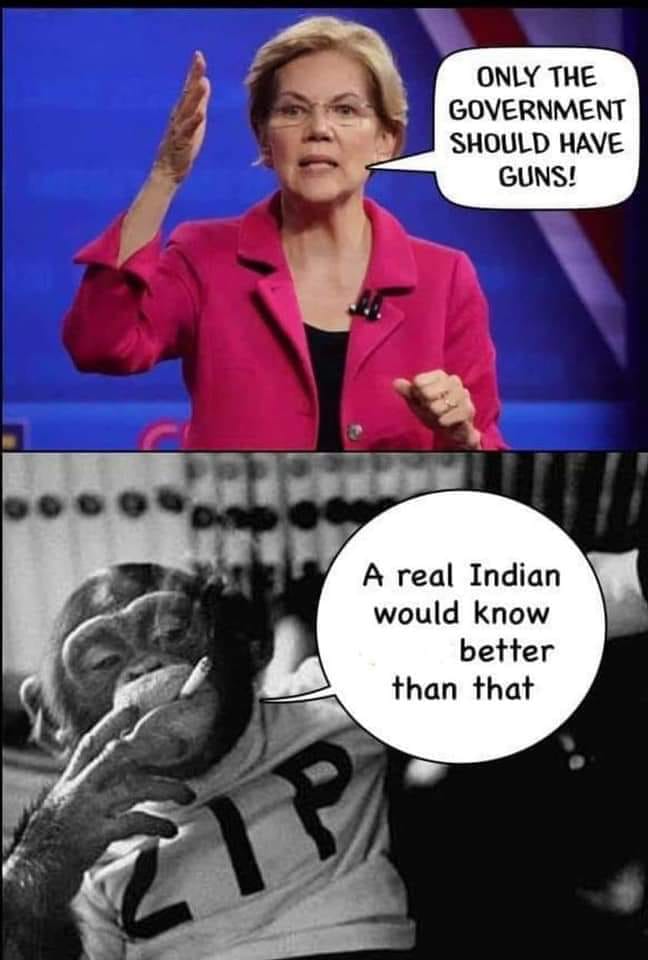 only the government should have guns meme - Only The Government Should Have Guns! A real Indian would know better than that
