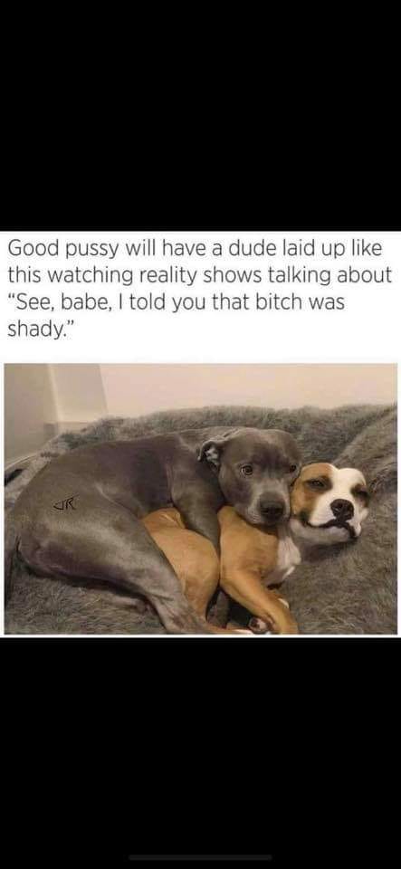 good pussy will have you meme - Good pussy will have a dude laid up this watching reality shows talking about "See, babe, I told you that bitch was shady."