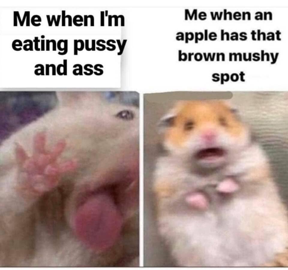 lactose intolerant hamster meme - Me when I'm eating pussy and ass Me when an apple has that brown mushy spot