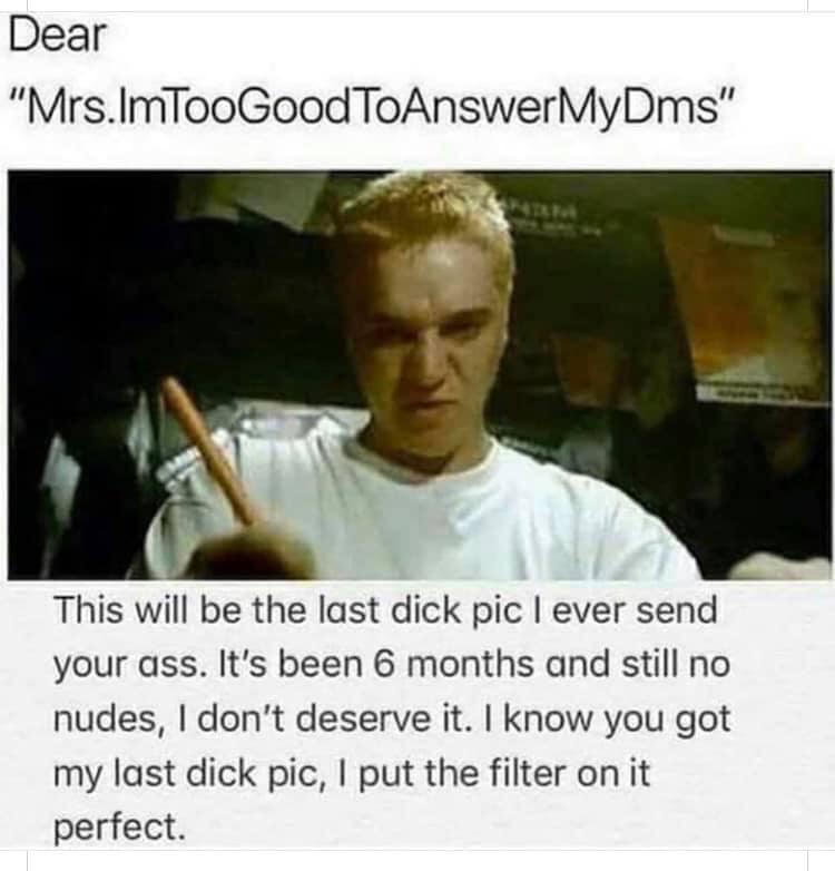 stan memes - Dear "Mrs.ImToo GoodToAnswerMyDms" This will be the last dick pic I ever send your ass. It's been 6 months and still no nudes, I don't deserve it. I know you got my last dick pic, I put the filter on it perfect.