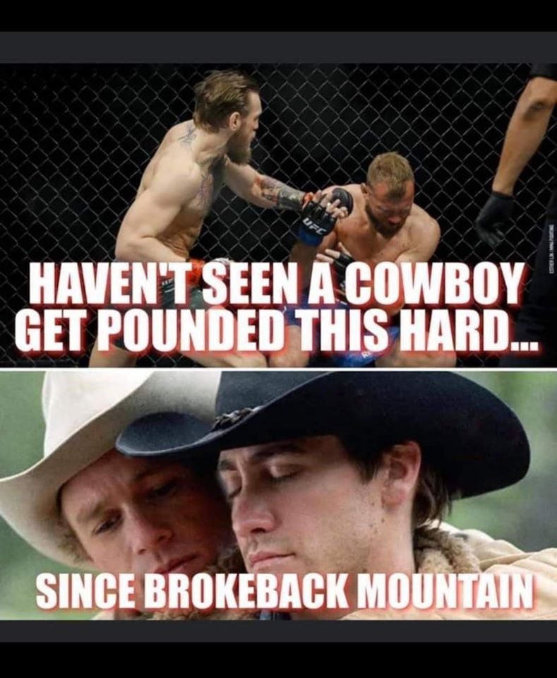 Humour - Haven'T Seen A Cowboy Get Pounded This Hard... Since Brokeback Mountain