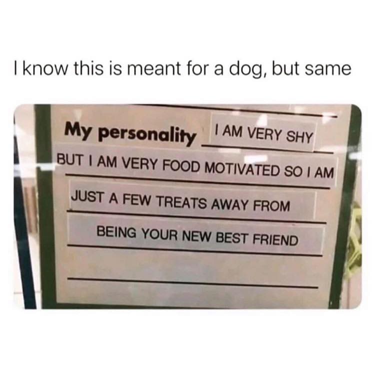 I know this is meant for a dog, but same My personality I Am Very Shy But I Am Very Food Motivated So I Am Just A Few Treats Away From Being Your New Best Friend