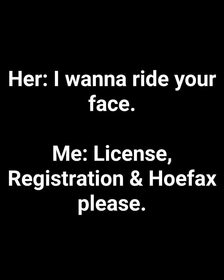 monochrome - Her I wanna ride your face. Me License, Registration & Hoefax please.