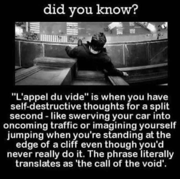 call of the void - did you know? "L'appel du vide" is when you have selfdestructive thoughts for a split second swerving your car into oncoming traffic or imagining yourself jumping when you're standing at the edge of a cliff even though you'd never reall