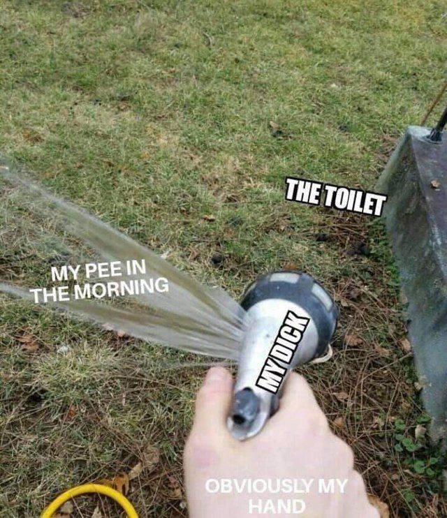 my pee in the morning meme - The Toilet My Pee In 13 The Morning Mydick Obviously My Hand