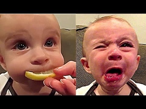 funny video for kids