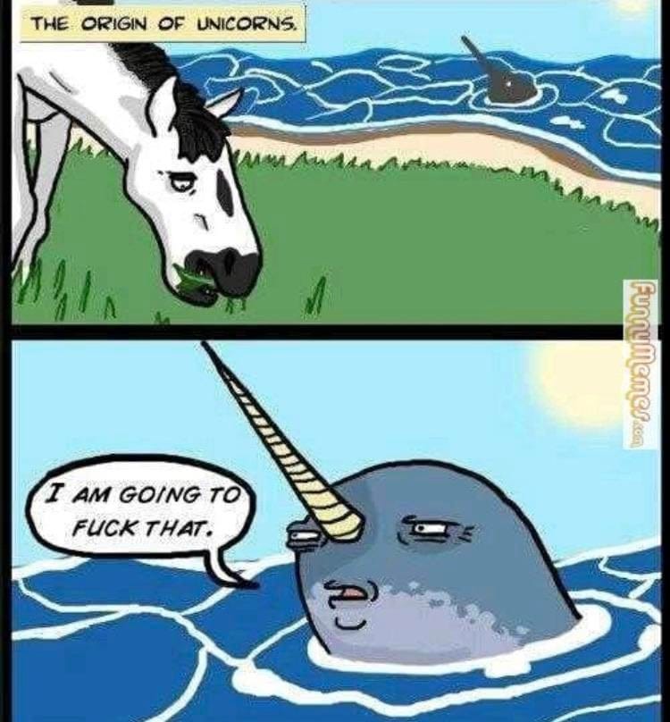 origin of unicorns - The Origin Of Unicorns. funnymemes.com Ime I Am Going To Fuck That.