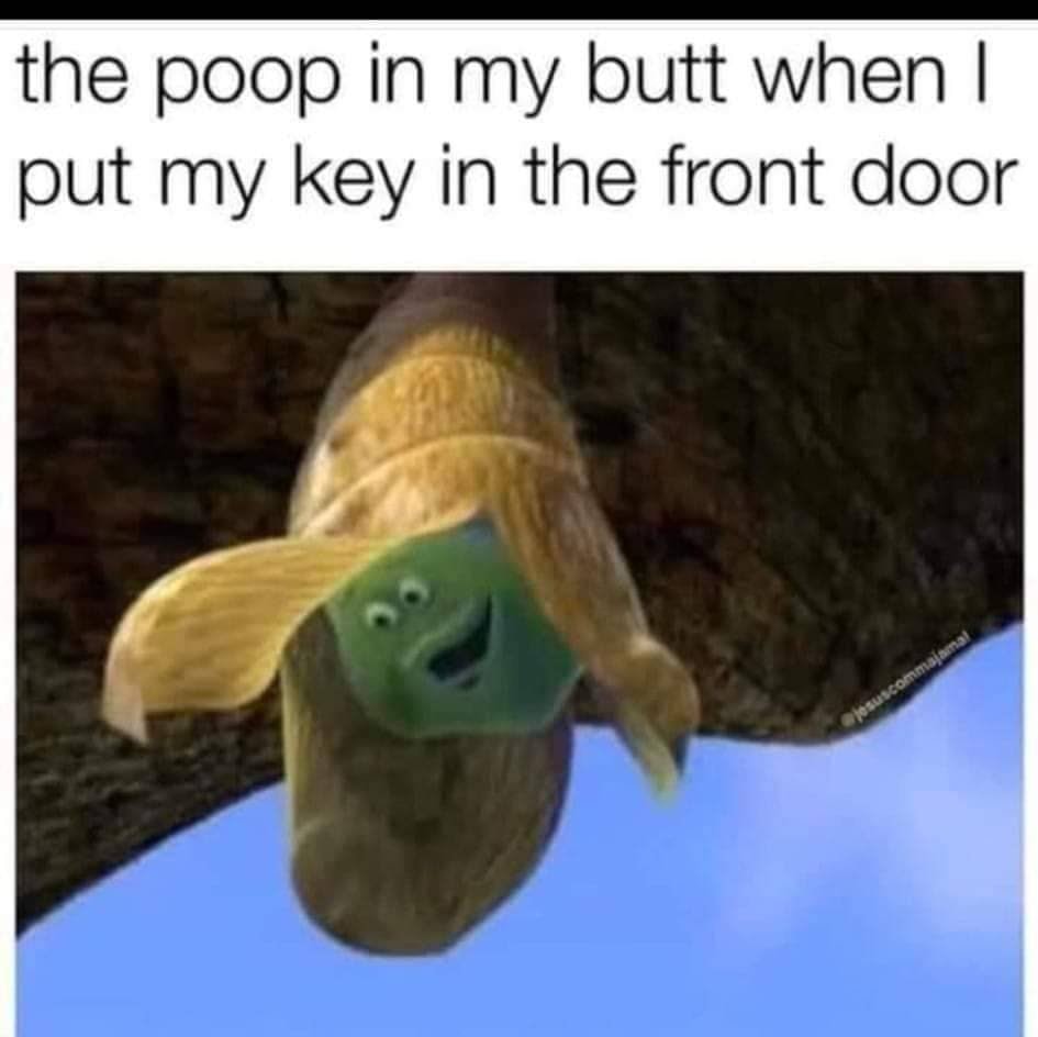 poop in my butt meme - the poop in my butt when | put my key in the front door