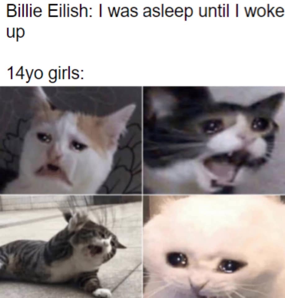 billie eilish 14 yo meme - Billie Eilish I was asleep until I woke up 14yo girls