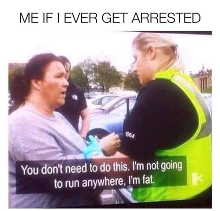 you don t need to do this i m not going to run anywhere i m fat - Me If I Ever Get Arrested You don't need to do this. I'm not going to run anywhere, I'm fat.