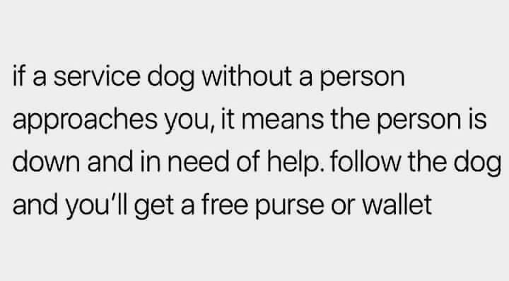 if a service dog without a person approaches you, it means the person is down and in need of help. the dog and you'll get a free purse or wallet
