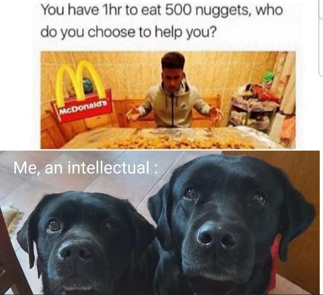 you have 1 hr to eat 500 nuggets - You have 1hr to eat 500 nuggets, who do you choose to help you? McDonald's Me, an intellectual