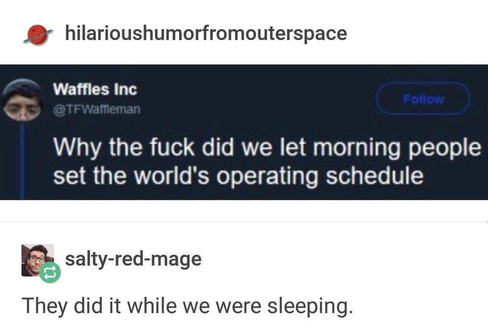 funny memes - software - hilarioushumorfromouterspace Waffles Inc Why the fuck did we let morning people set the world's operating schedule saltyredmage They did it while we were sleeping.