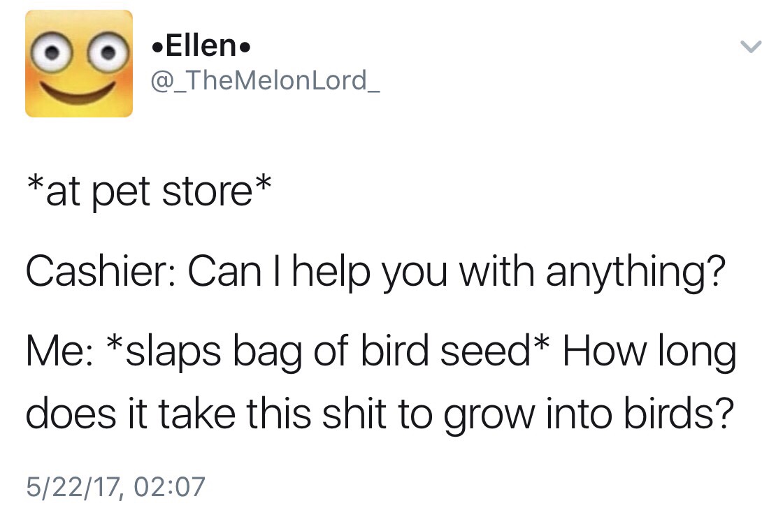 funny memes - bird seed meme - 09 Ellen Ellen. at pet store Cashier Can I help you with anything? Me slaps bag of bird seed How long does it take this shit to grow into birds? 52217,