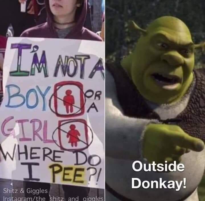 funny memes - photo caption - Im Nota Boy Girl Where Do I Pee?! Outside Donkay! Shitz & Giggles Instagramthe shitz and giggles